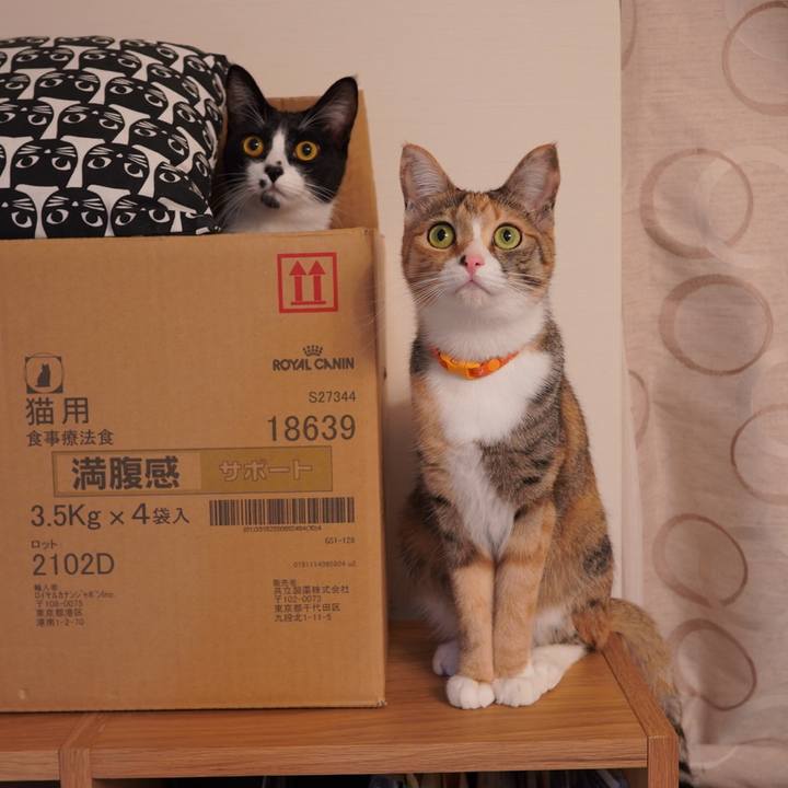 92a09438 6018 4793 a450 ee93837fb7ad 1608216955855