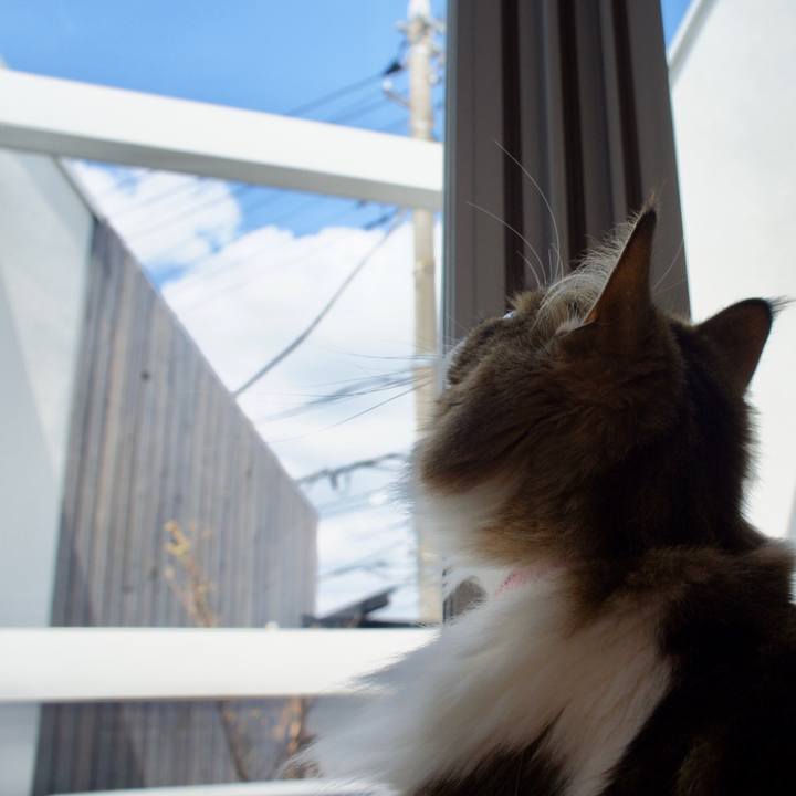 92a0b388 017a 41e3 996d a0921fe47a00 1534383975310