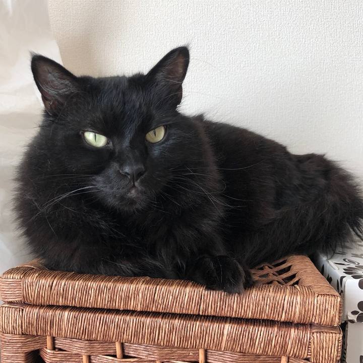 92a127aa 4010 4bc9 abad beb89683fcaa 1533545602205