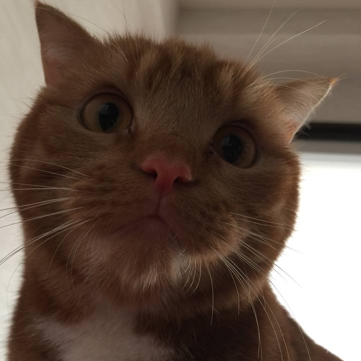 92a15746 b217 460d be4f d37840ab5703 1514720355981