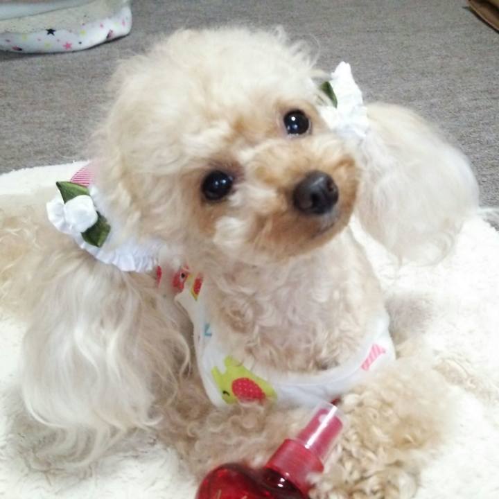 92a1a915 d11e 44af ba5c e02517957aed 1532770593901