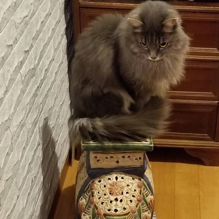 92a1b386 7ee6 43dd 85ae 630b4a19136e 1573117970311