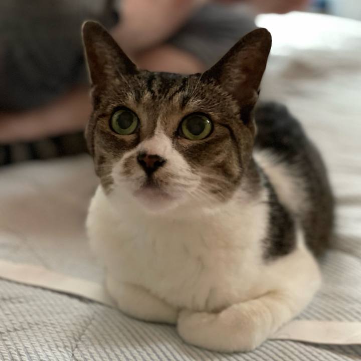 92a1bce2 d766 444d af8f 43d298f149b4 1660785311550