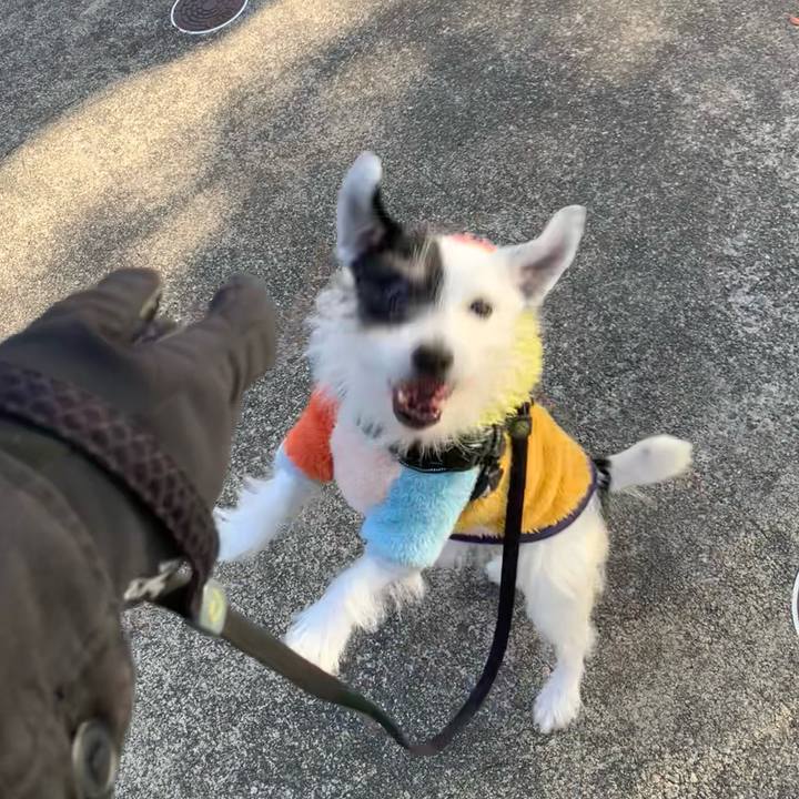 92a21105 9c50 4ad2 864c 7cd47fc2623c 1734653961263