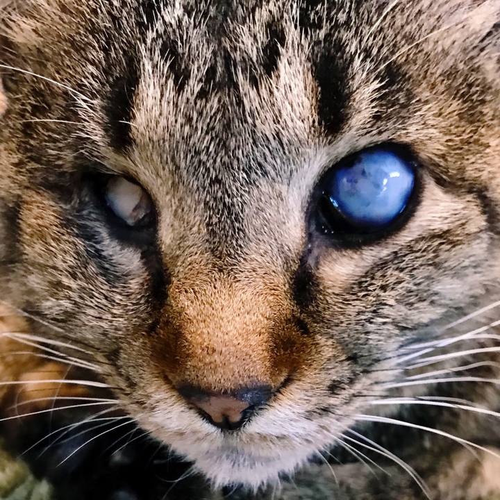 92a235d0 f6a6 49a9 b6cc c0edb65889c4 1516932029743