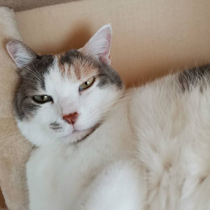 92a238a3 3d83 4bb2 94ab bfff614d219d 1631001549097