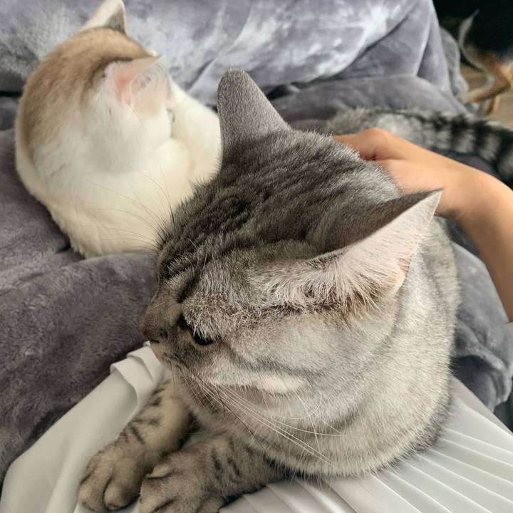 92a2404d 626f 48e4 ad67 42216542f912 1674617164021