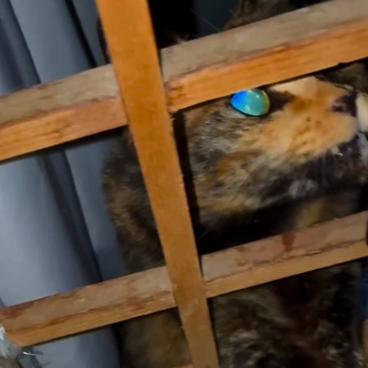 92a24922 6ce6 4ac2 895c 28901db8f037 1763498659349