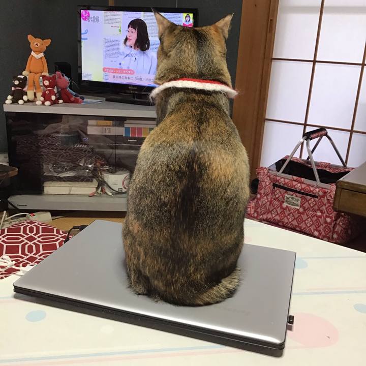 92a28220 7026 48f9 a3a7 7282e0185a71 1610931685107