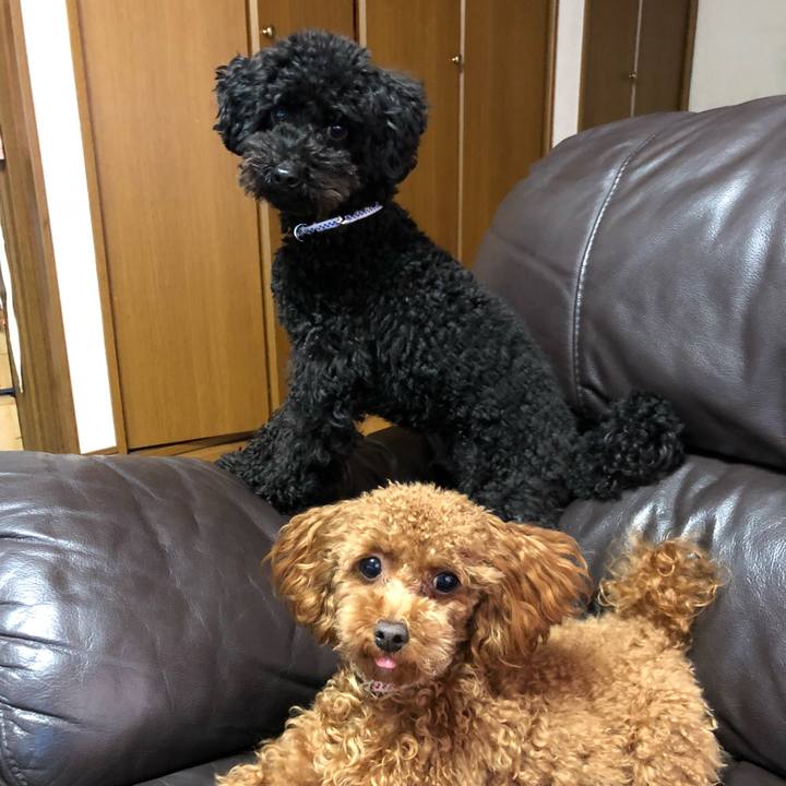 92a2bb1b c8ec 4b54 a750 355266ab4e42 1515372833368