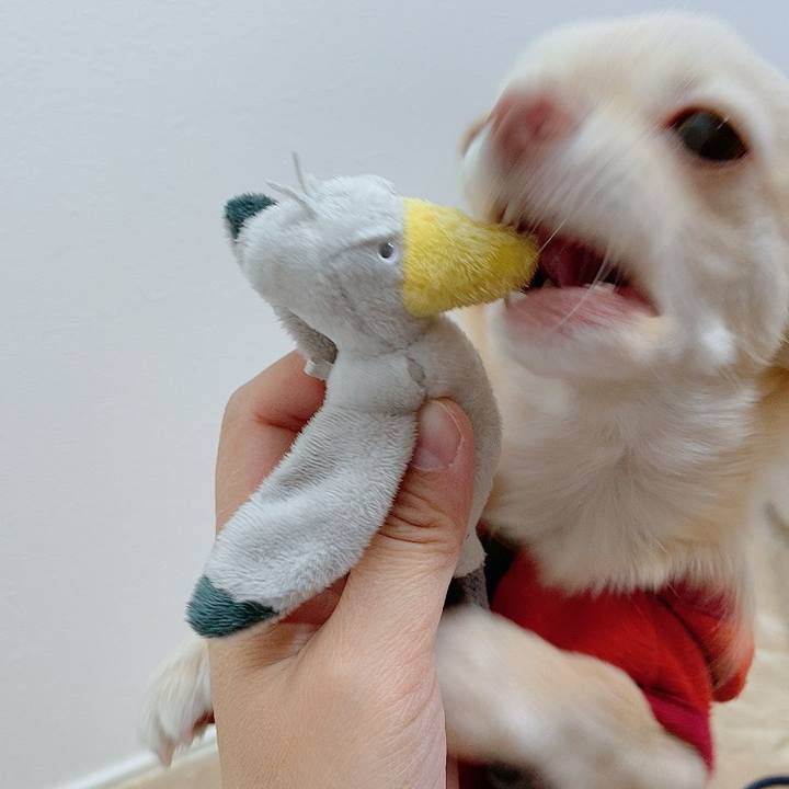 92a33790 b5fc 43da 9463 5d6cbf868440 1609559611526