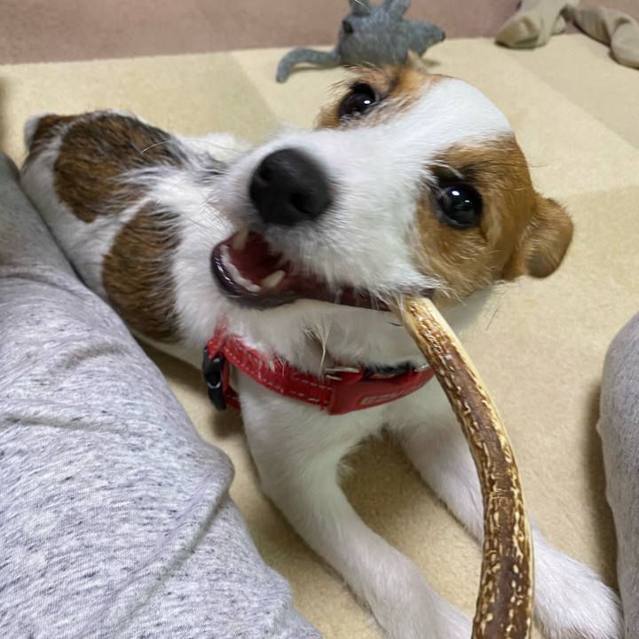 92a33c4e 398a 49ba 875f c5723ff969de 1620221319269