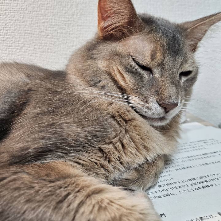 92a343b5 cf55 4c96 a52a 3ed11e2c05bf 1739172463725