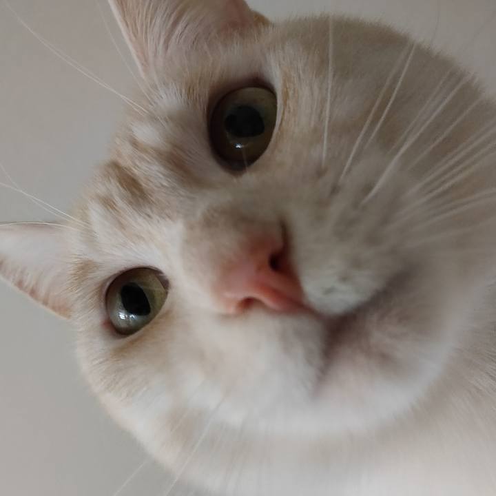 92a34d71 f721 4045 93e0 b6c62f484fc2 1680046337177