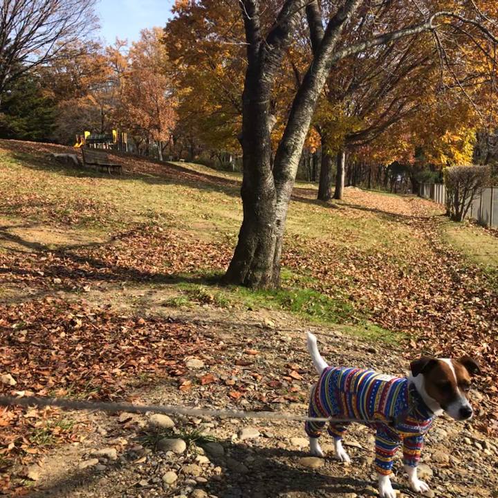 92a35623 9e31 4056 b135 611704ad9ff4 1574851095988