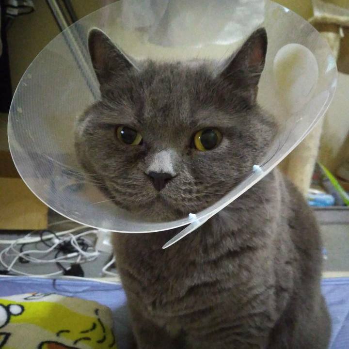 92a35bf2 e696 4bec 9b1b a46055278fe5 1599817333367