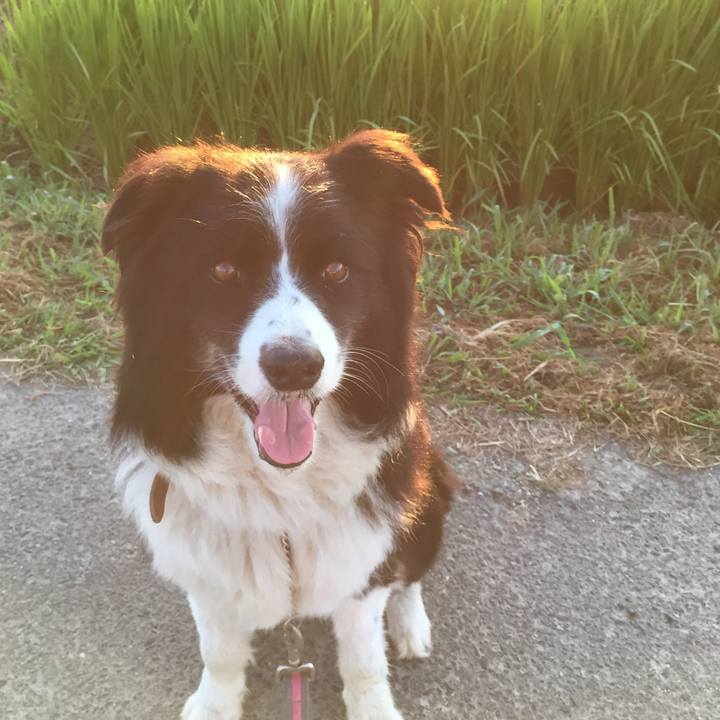 92a371f5 a55f 461b a0e9 b8590406259b 1534109358953