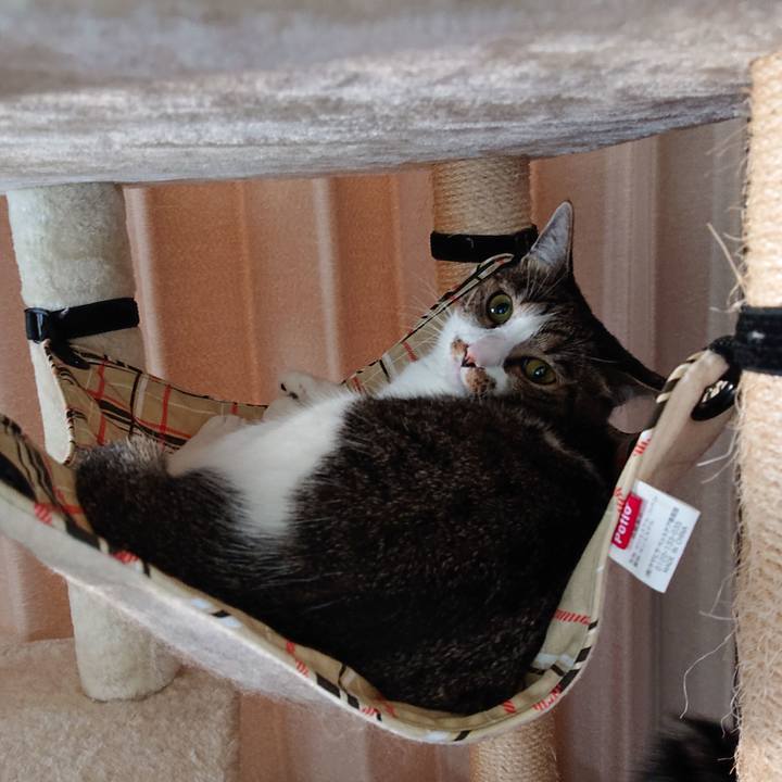 92a386f1 6cae 4ef1 a093 72c58c71676f 1598918210639