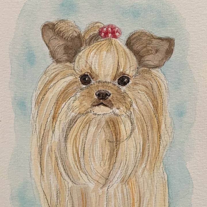 92a3a933 b628 41e4 8699 1267e6b44a2d 1678362443392