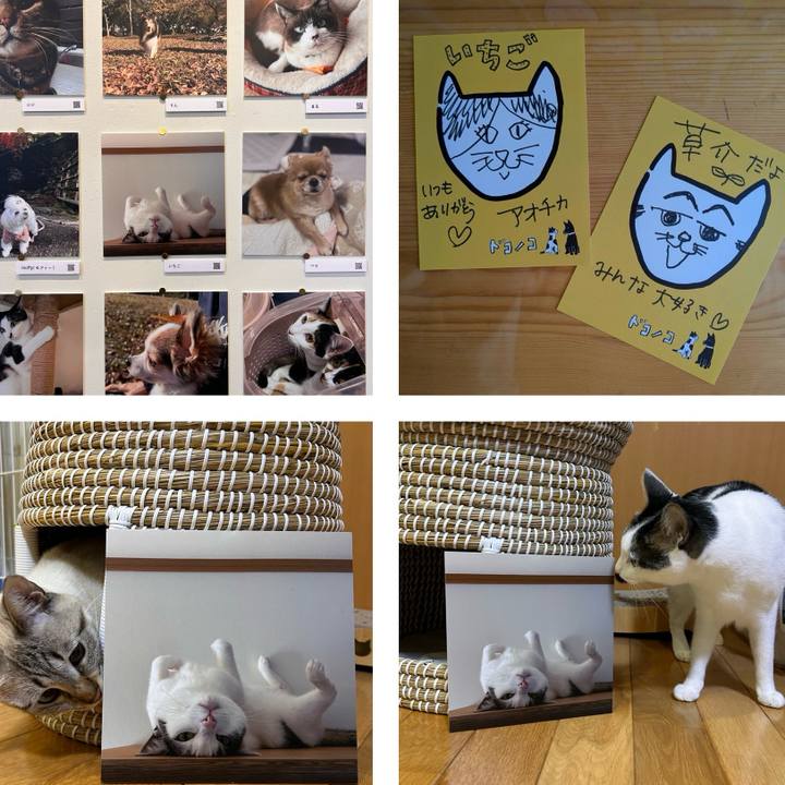 92a3e652 36b4 4d2f a8ae fd6fce9a4b33 1765800722034