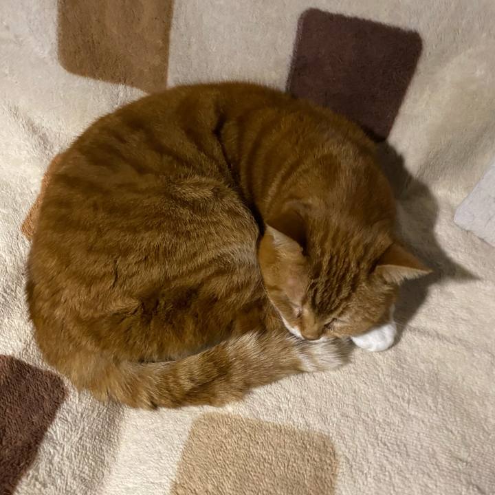 92a3f004 6ad2 48d5 9526 5b6f7b409573 1678999319393