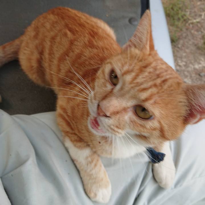 92a3fd73 d010 444c a32c bb899ae3f38a 1565169331959