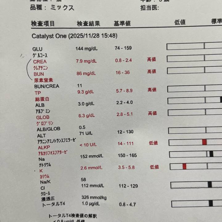 92a42057 9ba2 42c5 919c 043daeaf2a59 1764326610467