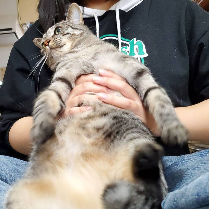 92a43463 01cc 4886 828b 20bd49fc3b3b 1713853391587