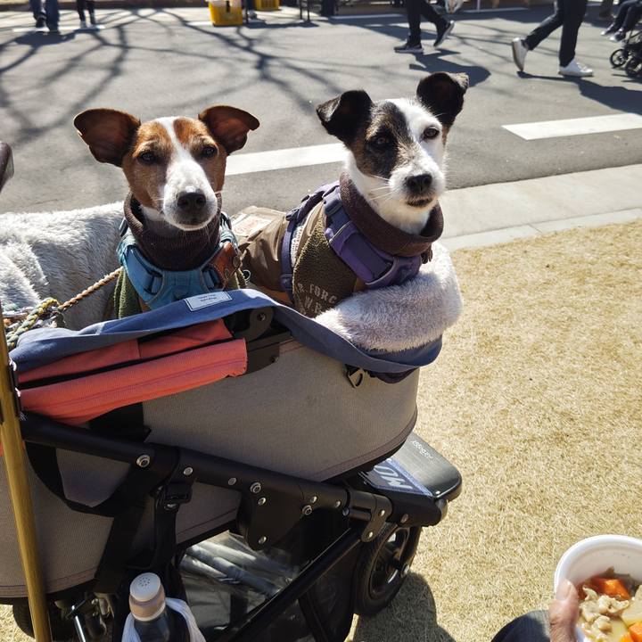 92a44854 cd02 4ddf bd93 772913de3273 1741486996663