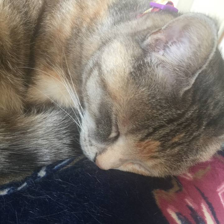 92a44ba5 e0d1 40b5 b5b2 7a41c03de4ca 1550731437764