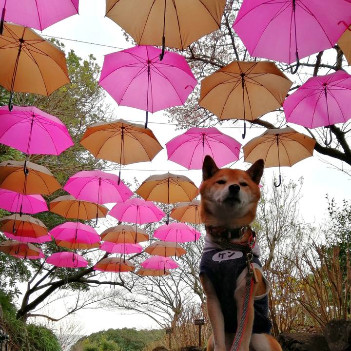 92a44d5f 336a 4bc8 a5e4 28dec4ba2198 1674042959285