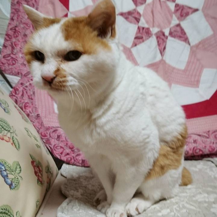 92a473b1 0830 4f40 8b1e e1beb7e307b5 1556370515177