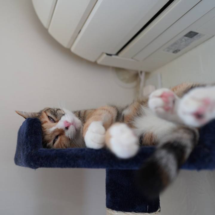 92a50bdf df35 4295 8490 5479594f5faf 1590066840054