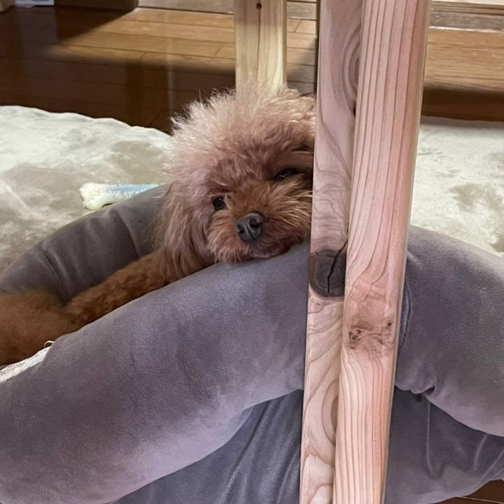 92a517a7 a4d1 4d0a 8998 3e2356d38683 1636866535237