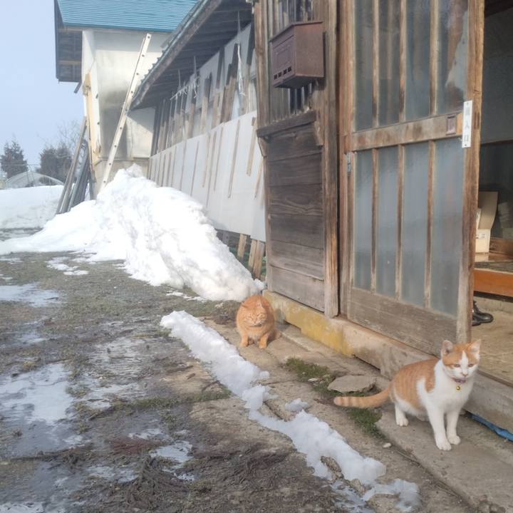 92a54210 707d 4482 aa75 a92c5317f92b 1741048316043