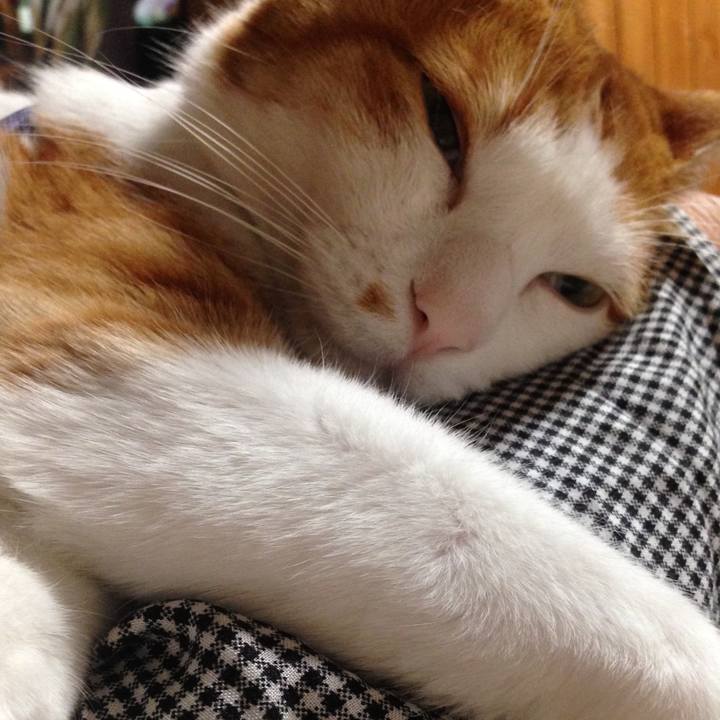 92a59c5f 8e73 4887 88dd 45335881bc24 1558176830741