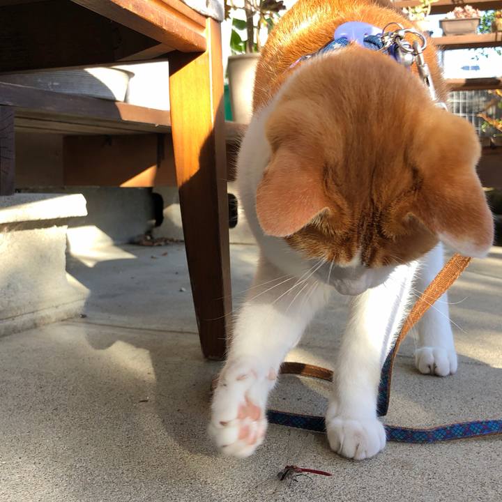 92a59fe5 6f77 43e7 9f6c a807f817f501 1540794100810