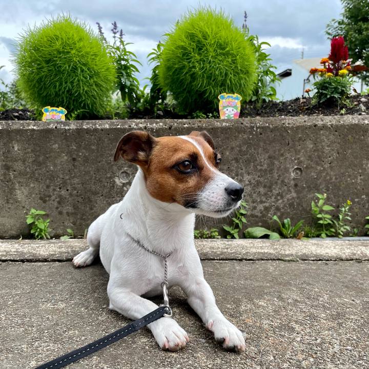 92a5c87f e193 4599 96e4 b8f59516fb87 1629108384632