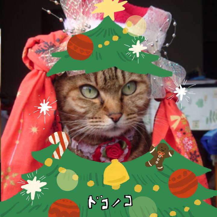 92a5d10a 2cdb 41ef b67a 91b7e6276192 1763334672027