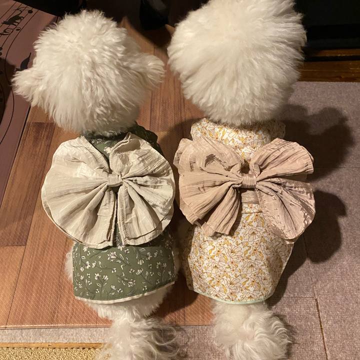 92a5f12d 22b6 4ffc b977 0619c70d4253 1755256553446