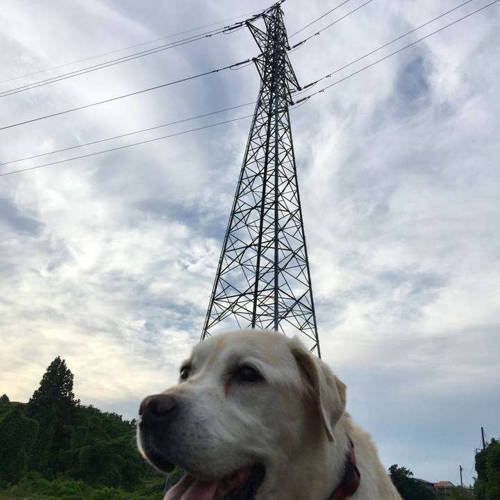 92a60a7a 676a 4438 a2af 0de475b944e3 1529400768541