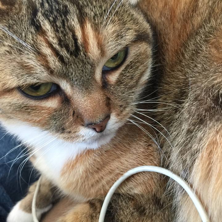 92a644f0 ebe4 4ead ab9d 0d3d0347abb5 1554524707822