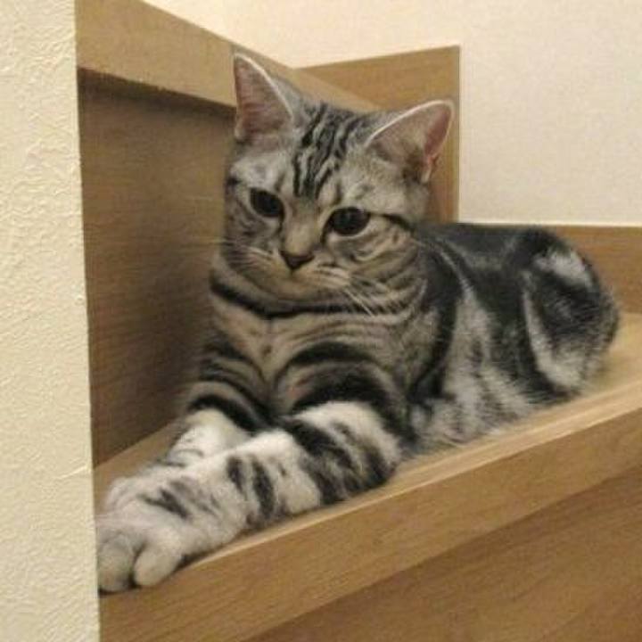 92a664d0 1e57 4c56 bc68 2f9976db3317 1542020452457