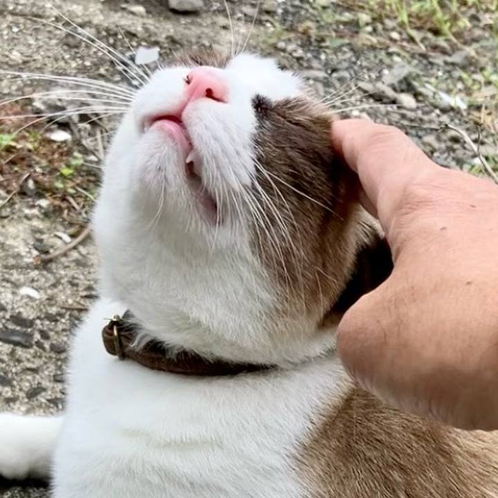 92a66be3 702a 4517 afb2 b11d680a1253 1729999693257