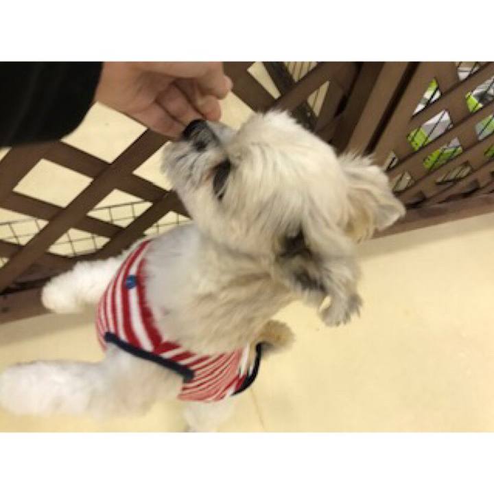 92a67578 f874 4512 838c 4dc5ec4edf2b 1542019109590