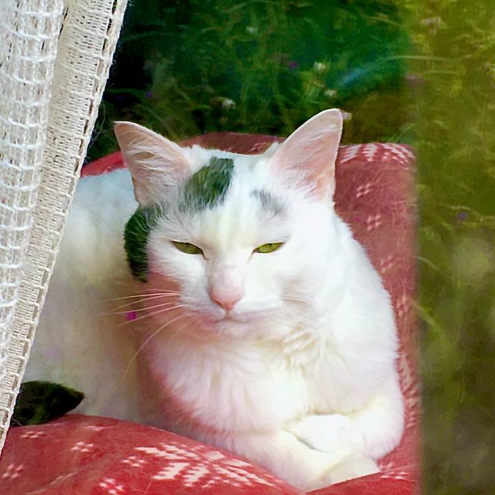 92a67e53 823a 4cc0 91b7 1751d569c451 1592866976322