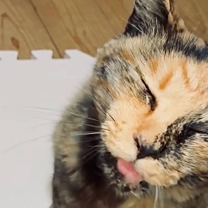 92a6f38c 47a2 4ae1 9644 a993a8e6772a 1746388347795