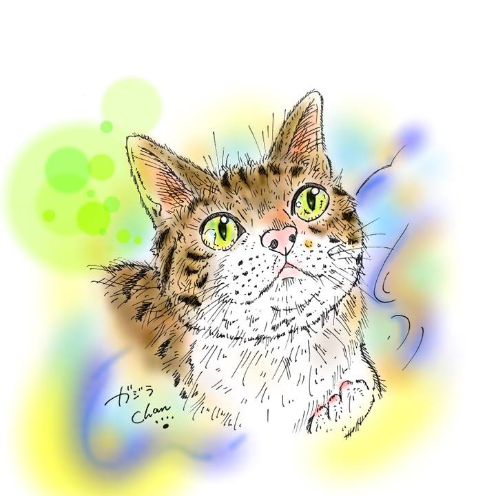 92a707fb 5d66 4d8c 9fdf 8a68574ece93 1583333507378