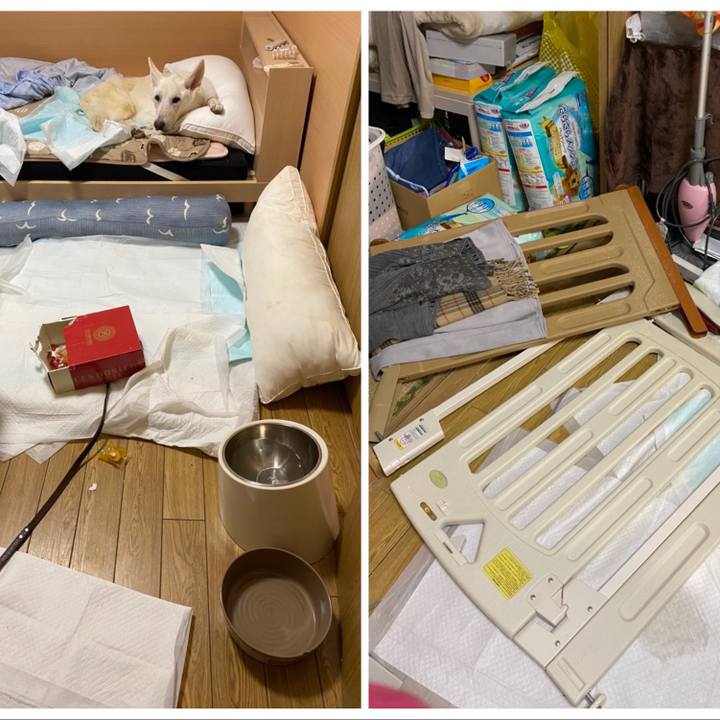 92a7266b 540c 45cb 91bb 23b461f3a765 1608033412461