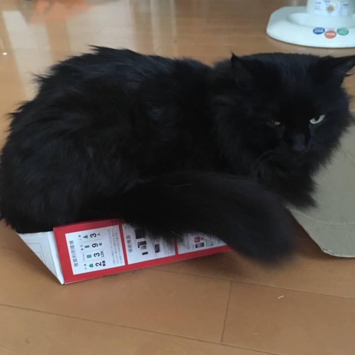 92a73368 ef9a 4918 83cf 23a5580e7580 1544145875470